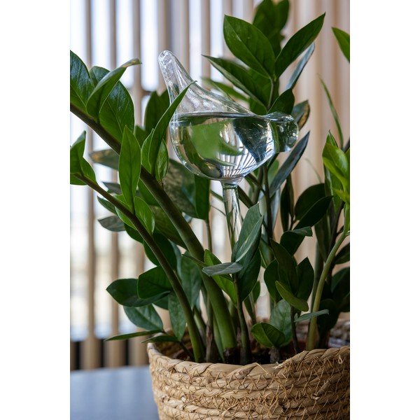Irrigatore a goccia in vetro 197 ml – Esschert Design-image-1