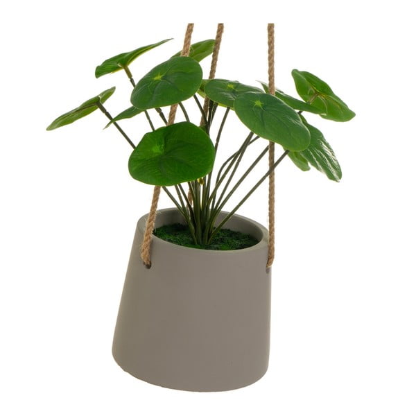 Pianta artificiale (altezza 24 cm) Pilea - Casa Selección-image-2