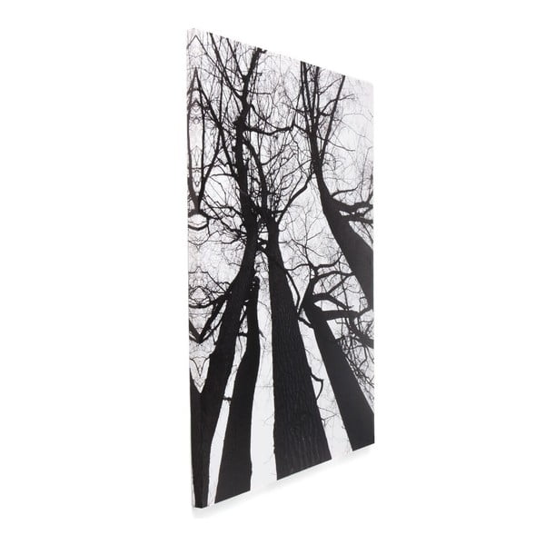 L'immagine su tela Albero d'inverno - Tomasucci-image-1