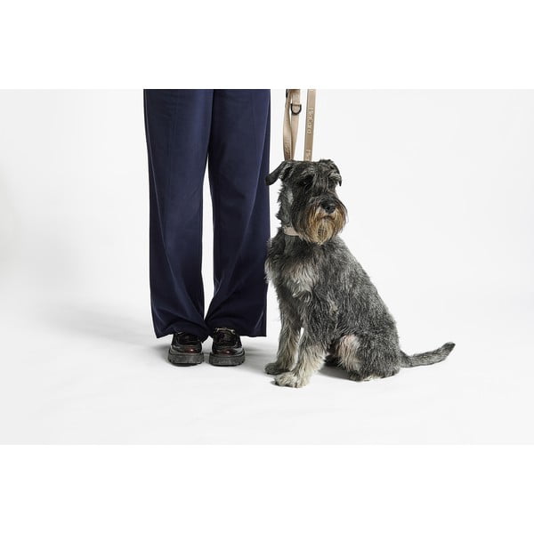 Colletto beige taglia S/M lunghezza 32 cm Modena Greige S/SM - MiaCara-image-3