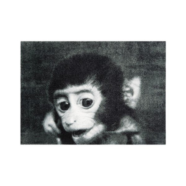 Šedá rohožka Mint Rugs StateMat Monkey, 50 x 75 cm