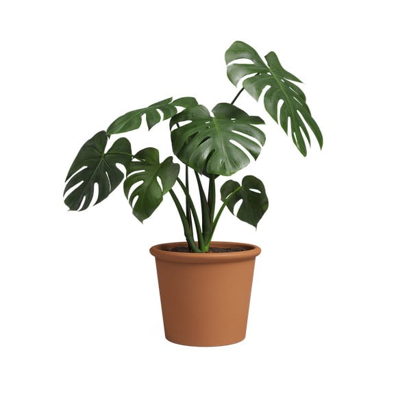 Vaso in terracotta ø 39 cm Saramago Cilindro - Artevasi-image-3