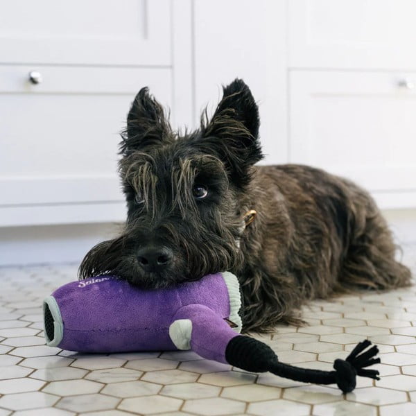 Giocattolo per can Phon – P.L.A.Y.-image-1