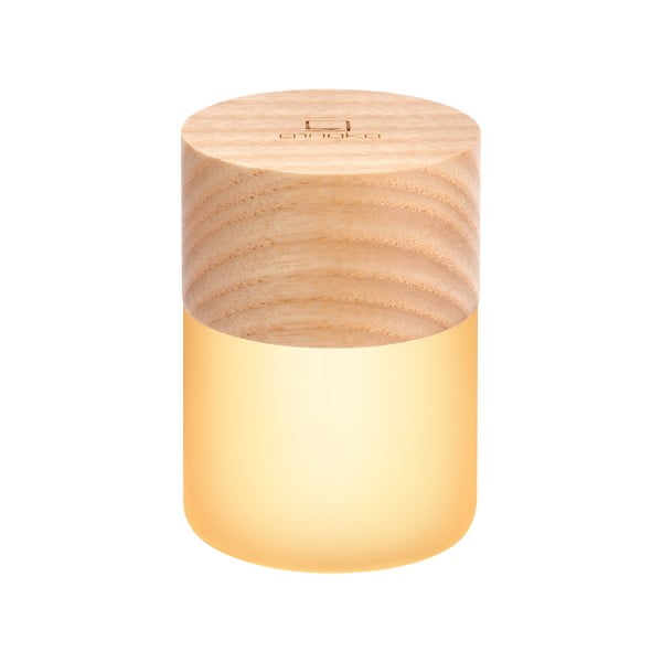 Decorazione luminosa di colore naturale con ricarica USB ø 4,5 cm Lemelia – Gingko