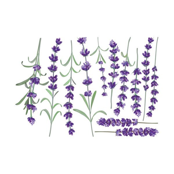 Set di adesivi da parete Levanders - Ambiance-image-2