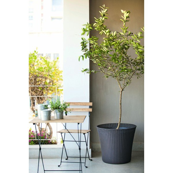 Vaso da giardino grigio Conico, altezza 48 cm - Keter-image-1