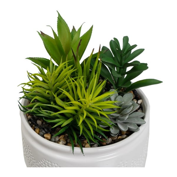 Piante artificiali in set da 2 (altezza 19 cm) Cactus - Casa Selección-image-2