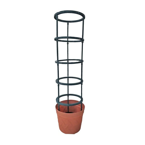 Supporto rampicante per piante da esterno - Garden Pleasure