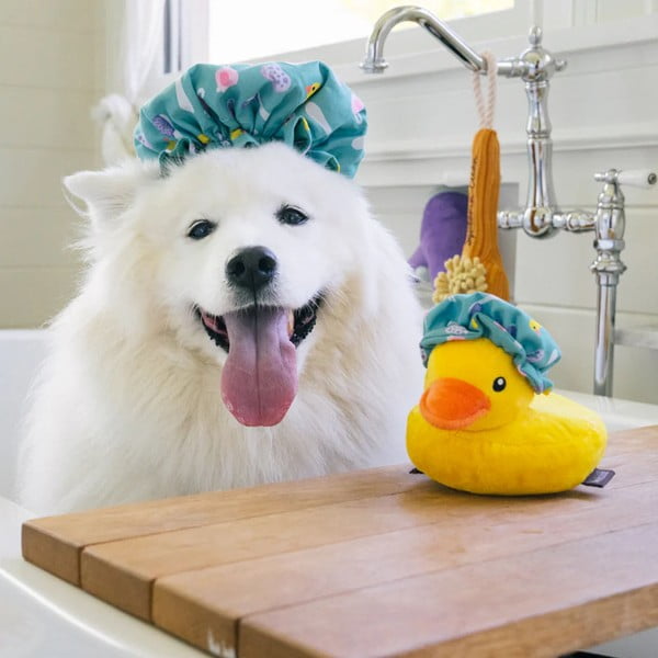 Giocattolo per cane Cuffia – P.L.A.Y.-image-1