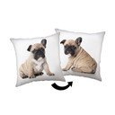 Cuscino per bambini 40x40 cm Bulldog – Jerry Fabrics