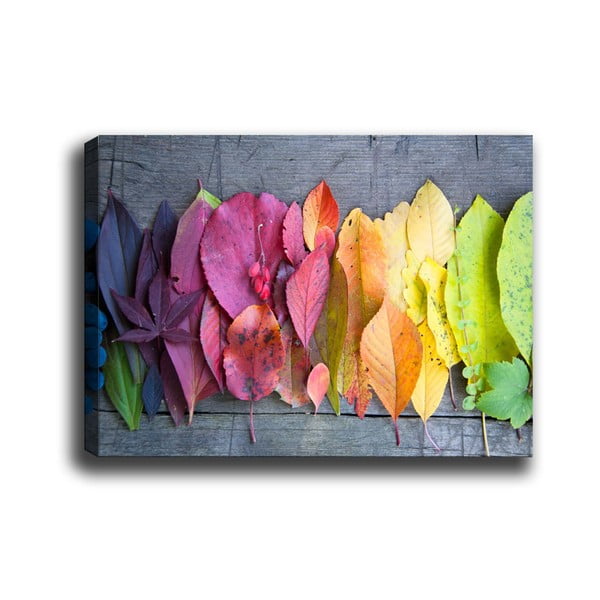 Pittura , 70 x 50 cm Gradient Leaves - Tablo Center