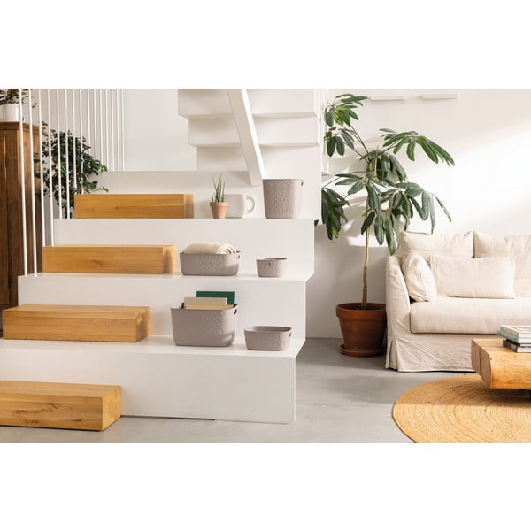 Cestino in plastica 38x29x22 cm Softex - Curver-image-1