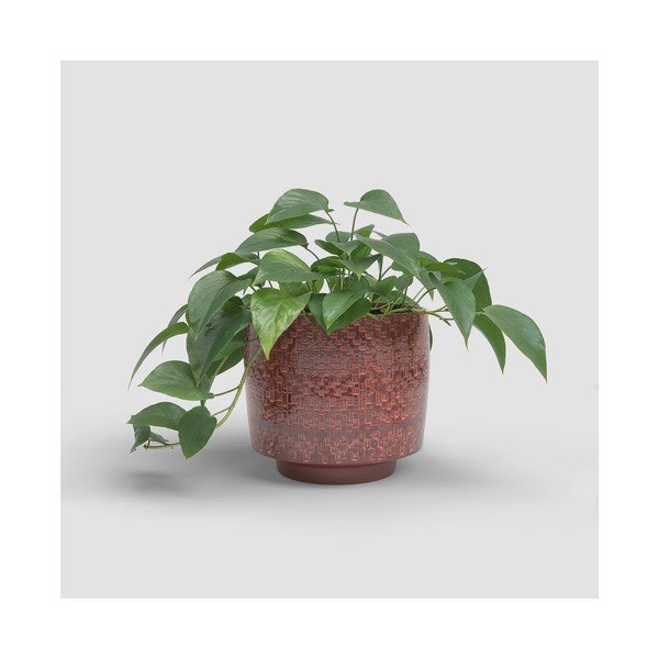 Coprivaso in ceramica ø 21 cm Minerva – Artevasi-image-3