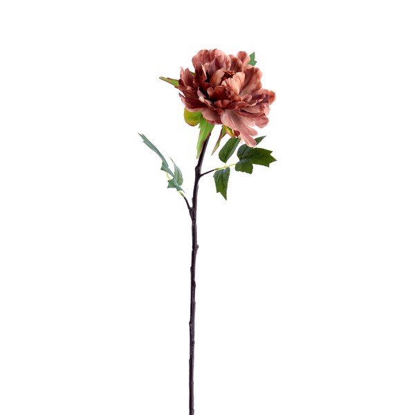 Fiore artificiale (altezza totale 65 cm) Peonia – Light & Living