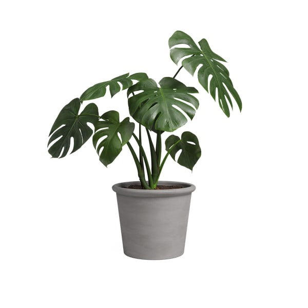 Vaso in terracotta ø 18 cm Saramago Cilindro - Artevasi-image-1