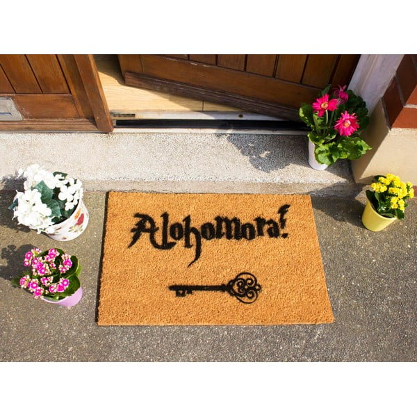 Stuoia di cocco naturale, 40 x 60 cm Alohomora - Artsy Doormats-image-1
