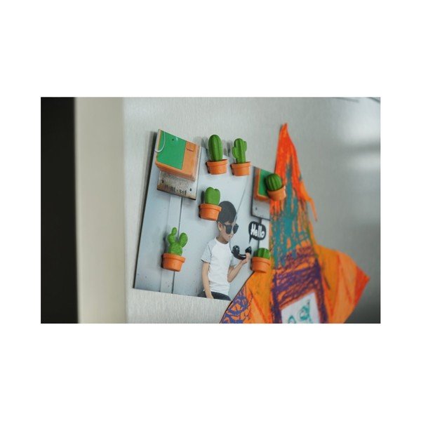 Set di 6 magneti &CO Cacnet - Qualy-image-2
