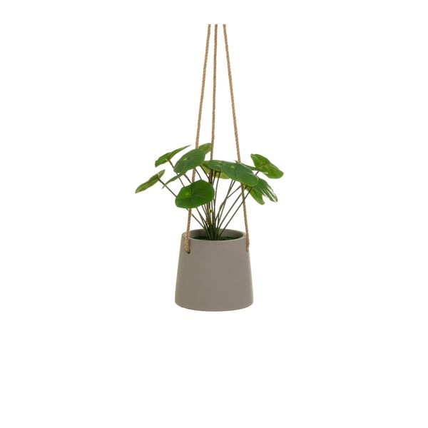 Pianta artificiale (altezza 24 cm) Pilea - Casa Selección-image-1