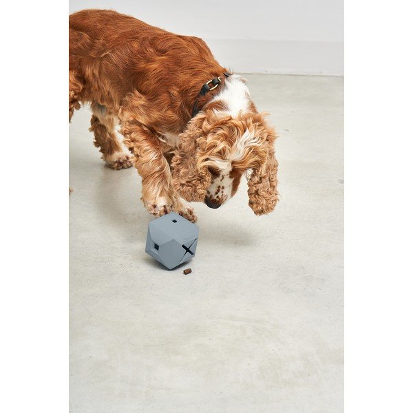 Giocattolo per cani Dado Sky – MiaCara-image-3