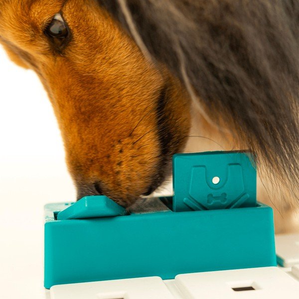 Puzzle per cani Nai - Pawzler-image-2