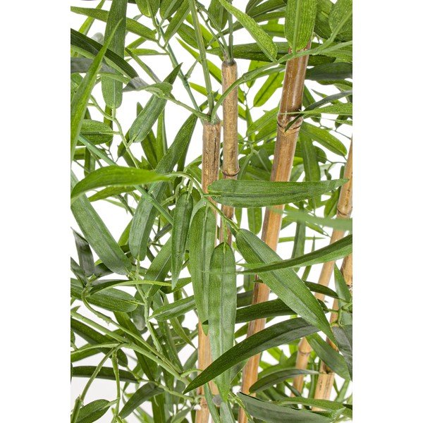 Pianta di bambù finta (altezza totale 155 cm) Bamboo – Bizzotto-image-1