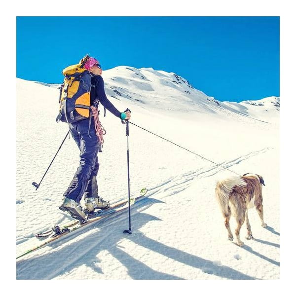 Guinzaglio blu taglia M 3 Bungee - Lishinu-image-3