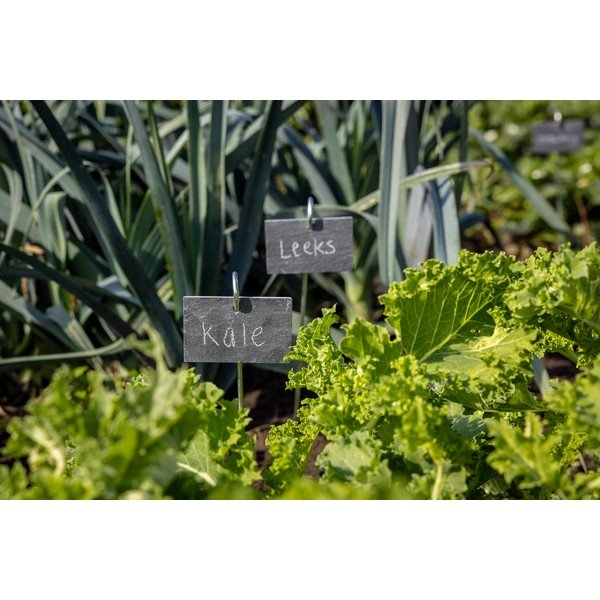 Etichette per piante nel set - Esschert Design-image-1