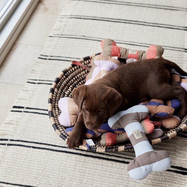Giocattolo per cani Ashi – OYOY Living Design-image-2