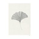 Poster 50x70 cm Ginkgo Leaf – Ana Frois – The Poster Club