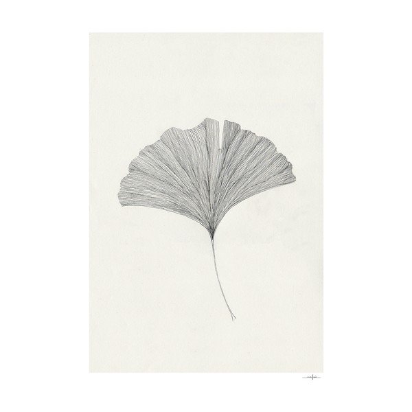 Poster 50x70 cm Ginkgo Leaf – Ana Frois – The Poster Club
