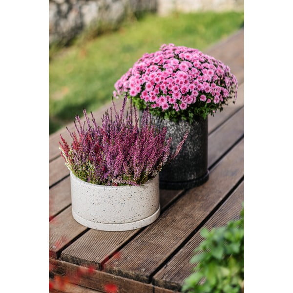 Vaso in cemento ø 34 cm Terrazzo - Bonami Selection-image-1