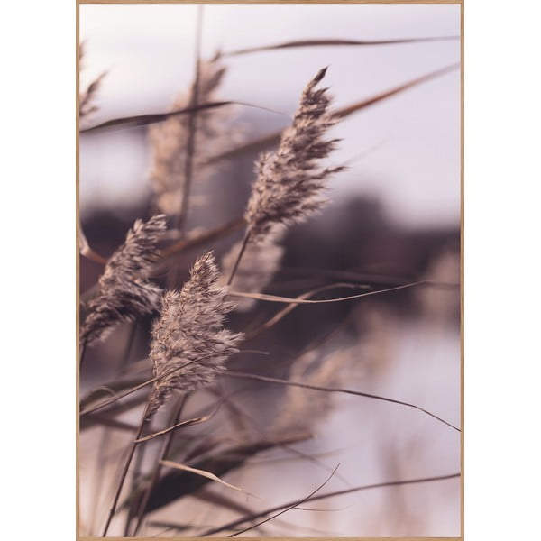 Poster con cornice 50x70 cm Mellow Grasses 3 - Malerifabrikken