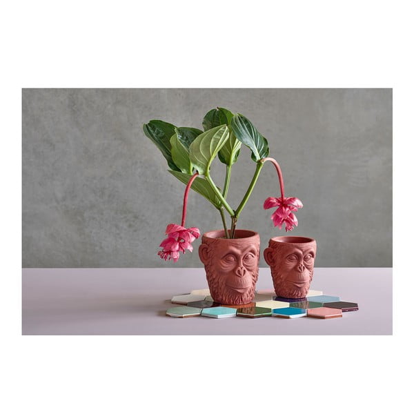 Coprivaso in cemento ø 22 cm Calbe - Villa Collection-image-3