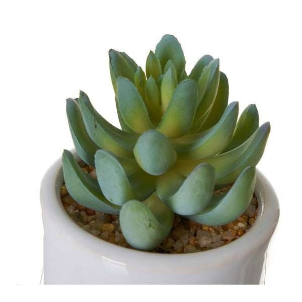 Piante artificiali in set da 4 Cactus - Casa Selección-image-2