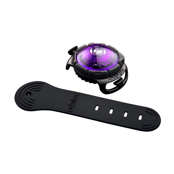 Luce per collare a LED Purple - Orbiloc-image-1