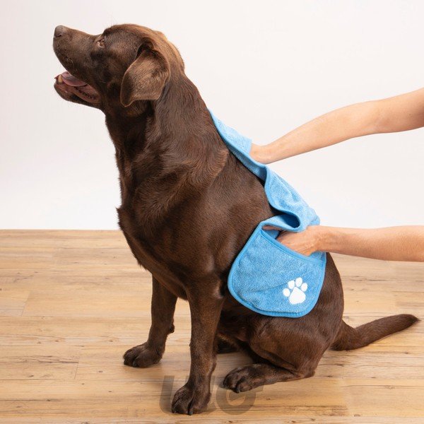 Asciugamano per animali domestici – Love Story-image-1