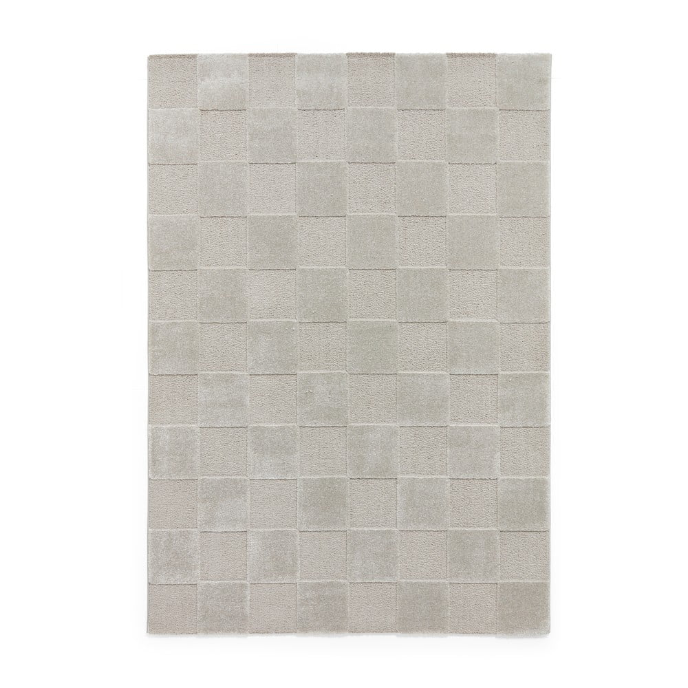 Tappeto grigio chiaro 200x290 cm Elio Silver – Think Rugs | Tappeti
