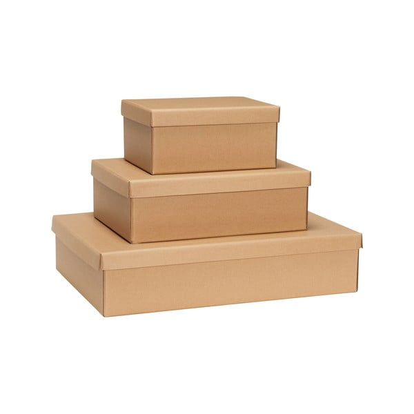 Set di 3 scatole di cartone con coperchio 44x31x10 cm Storeit - Hübsch