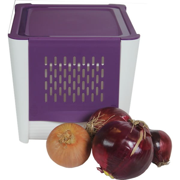 Cassetta con fori di ventilazione per cipolle e altri ortaggi - Snips-image-2