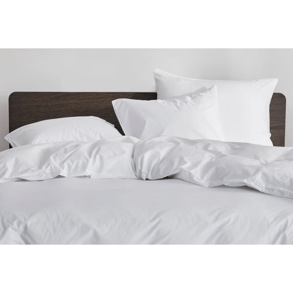 Federa per cuscino in cotone renforcé 70x90 cm Ranforce – Mila Home Luxury-image-1