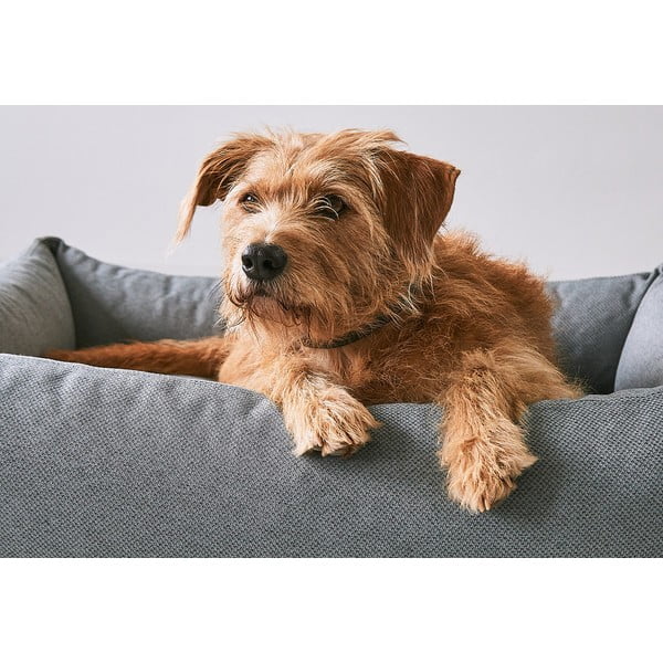 Cuccia per cani marrone 93x120 cm Mare Kelp L - MiaCara-image-2