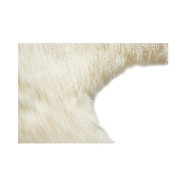 Sedia bianca con seduta in similpelle Flair - DAN-FORM Denmark-image-2