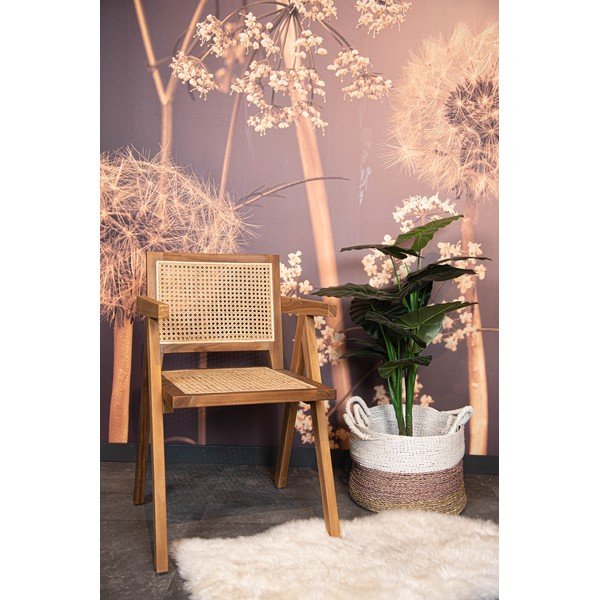 Sedie da pranzo in legno di teak Phi - HSM collection-image-1