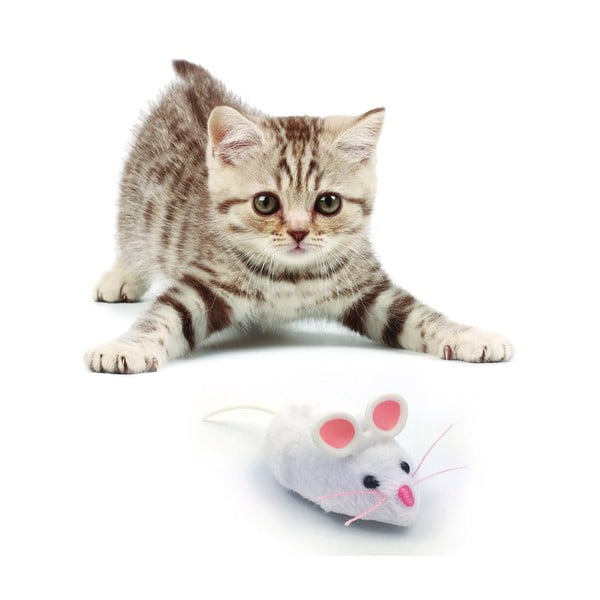 Mouse robotico per gatti - HEXBUG-image-3