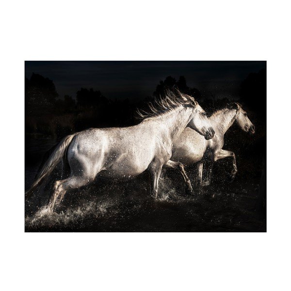 Pittura su vetro 120x80 cm Ele - Styler