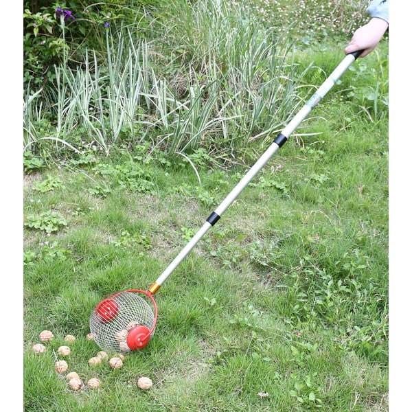 Coglifrutta - Garden Pleasure-image-1