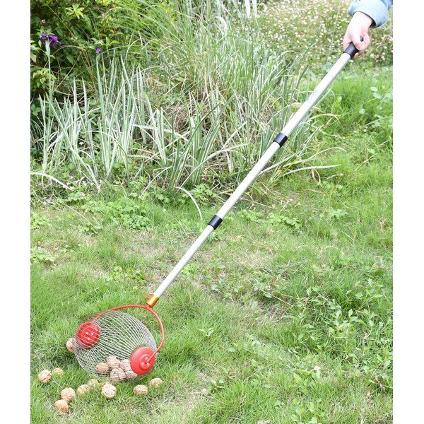 Coglifrutta - Garden Pleasure-image-1