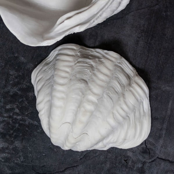 Portaoggetti decorativo in poliresina 24x19 cm Shell - Mette Ditmer Denmark-image-2