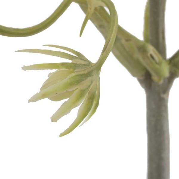 Ramoscello artificiale (altezza 55 cm) - Ixia-image-2