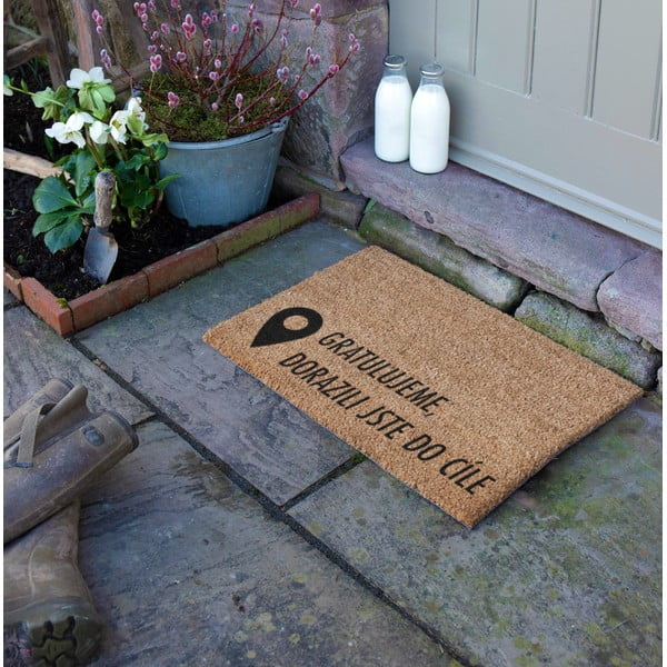 Zerbino in cocco 40x60 cm Pin - Artsy Doormats-image-1